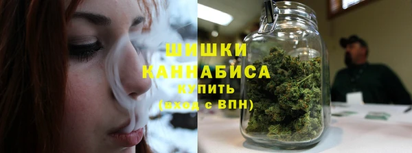 тгк Богданович