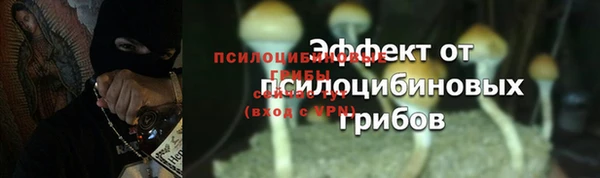 соль курить ск Богородицк