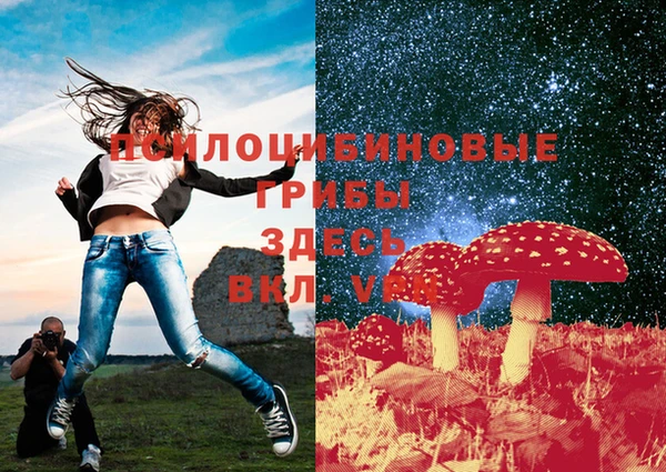 тгк Богданович