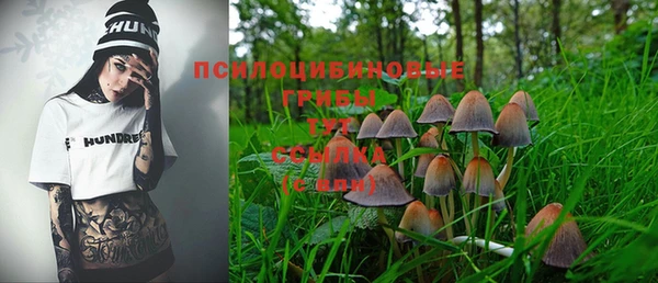 ECSTASY Богородск