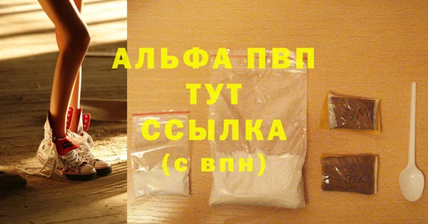 ECSTASY Богородск