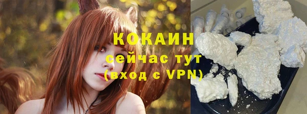 соль курить ск Богородицк