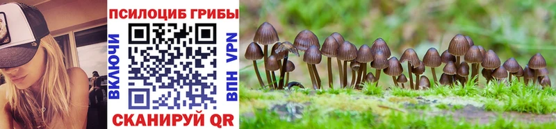 Галлюциногенные грибы мухоморы  Купить где  Луховицы 
